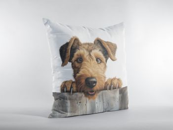 P-8647-welsh terrier